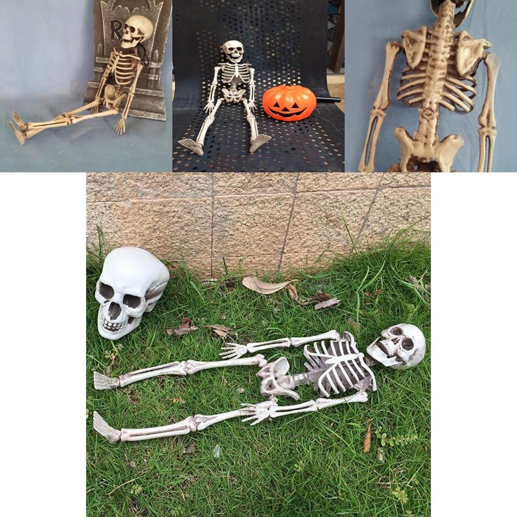 Human Skeleton Scary Skull Haunted House Halloween Prop Party Decor Atmosphere