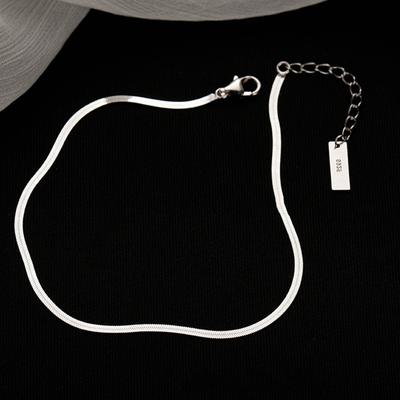 Charm Silver Stainless Steel Snake Chain Anklet For Women Jewelry To Attract Men Hormone Foot Chain Bracelet Gift