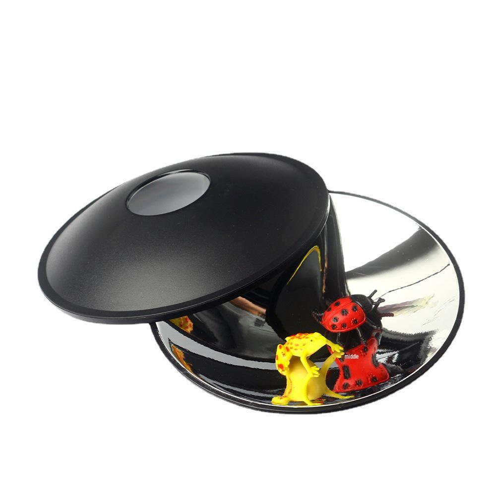 Optical Illusion Box: Educational Science Toy with Frog & Ladybug Refractions - Perfect for Students & Birthdays