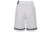 Jordan Sports Shorts Men's White Moderate AJ1109-100