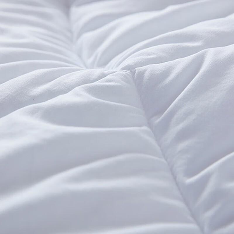 Mengjie Spring/Autumn Down Alternative Quilt