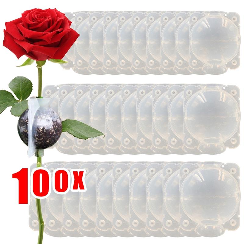5-100Pcs Plant Rooting Ball High Pressure Propagation Rooting Ball Grafting Breeding Grow Seedling Box Planting Nursery Pot