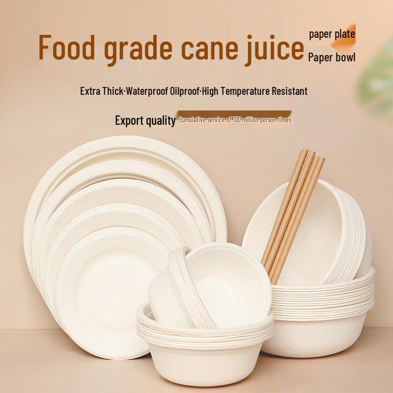 Disposable Sugarcane Pulp Dinnerware Set