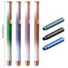 Metal Fountain Pen and 30 Inks Sac Set 0.38mm Tip Erasable for Beginner Student Adult Handwriting Drawing Journaling