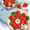 20 Strawberry Food Sample Models with Perfect for Cake Shop and Fruit Shop Displays Stems,