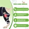 Strong Support Knee Dog Knee Brace For Back Leg
