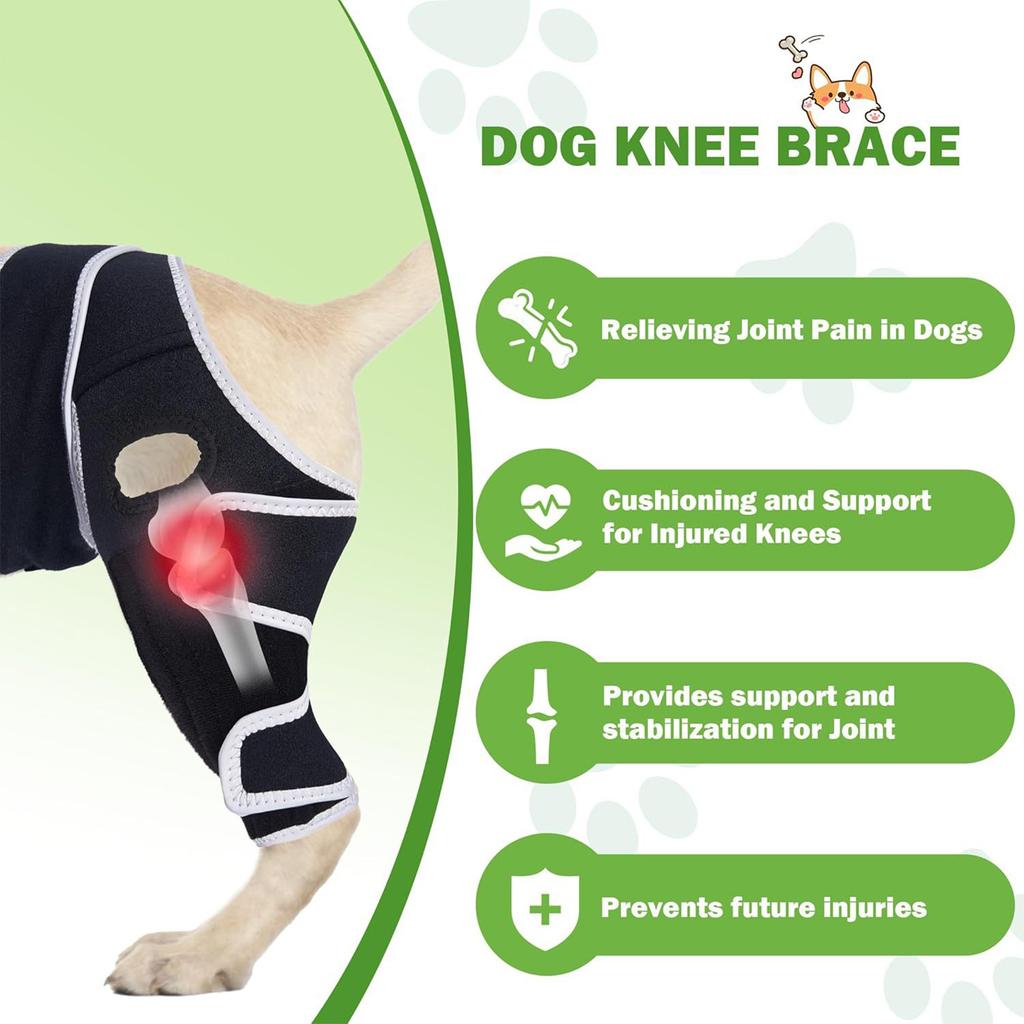 Strong Support Knee Dog Knee Brace For Back Leg