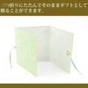 Midori Colored Ribbon and Clover 33225006 Paper, Tri-fold, Pattern,