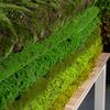 Non Maintenance Moss Turf Fake Mat, Realistic Artificial Faux Green Grass, 39" x Indoor Garden Landscaping Natural Looking for Crafts, DIY Fairy