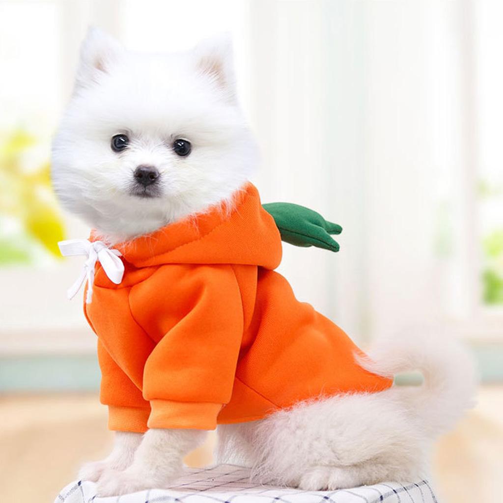 Puppy Kitten Sweaters with Hat for French Bulldog Cute Fruit Shaped Cats Hoodies