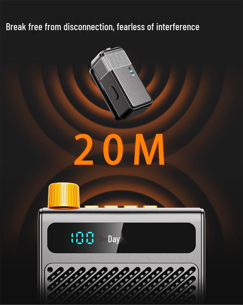Bee Mini Wireless Speaker: Loud, Clear Sound, Noise Reduction, Long Battery Life—Perfect for Teachers & Tour Guides.