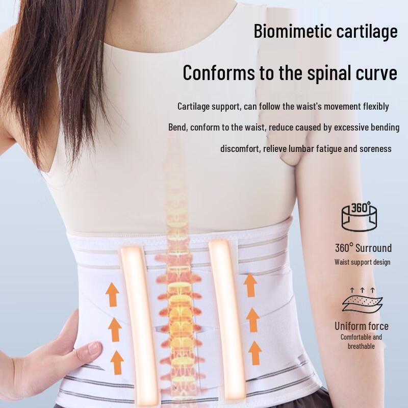 CHIWANG Breathable Lumbar Support Belt