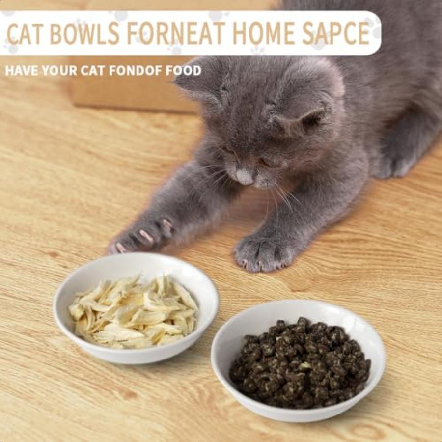 2pcs Little Cat Bowls5Inch Cat Food Bowl for Indoor Cats Cute Kittens Plate Dish Dishes Set with NonSlip Relief of Whisker Fati
