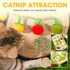 Cat Accessories Bite Resistant Tomato Cat Teaser with Bell Boredom Relief Interactive Kitten Teaser Rope Self Play