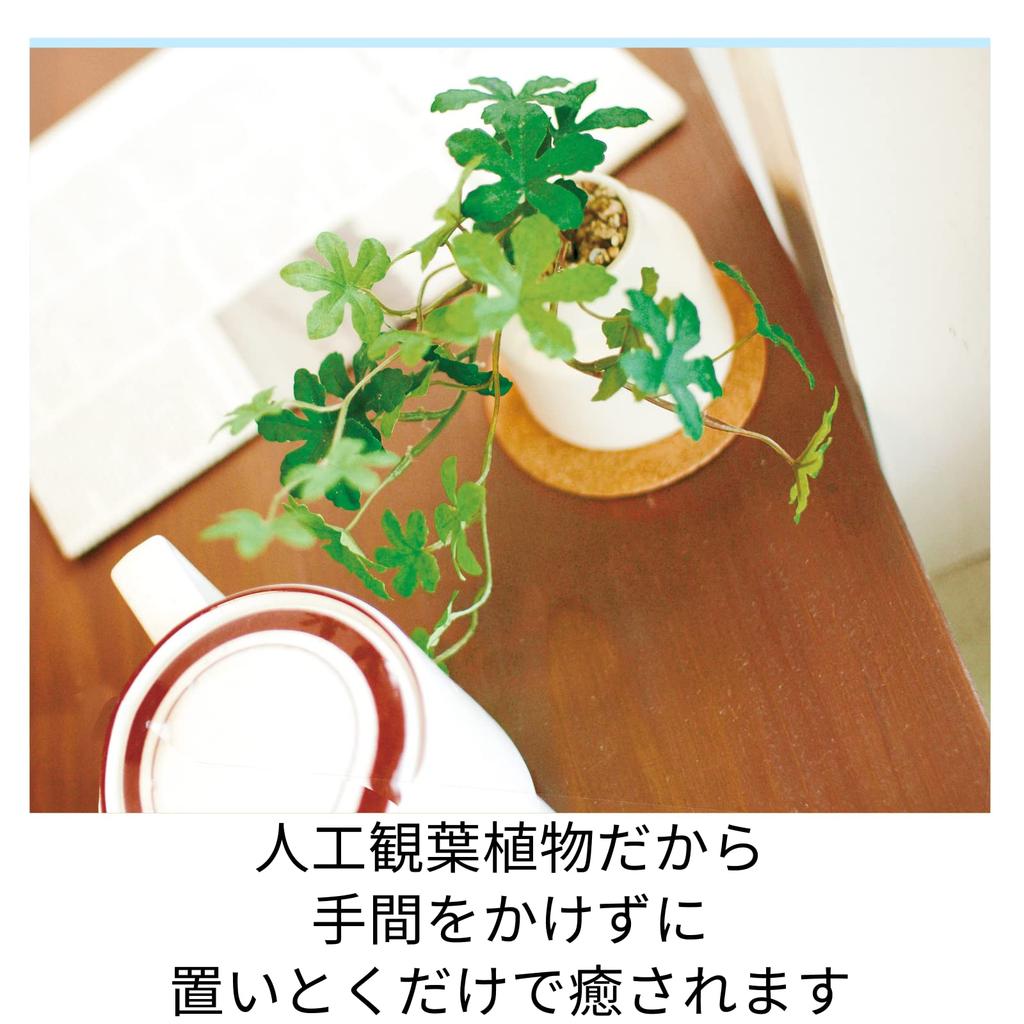 Kishima Artificial Fake Artificial Flower Air Sugar M Size Plant, Green, Non-Wilting Green, Catalyst, Deodorizing, Antibacterial, Purifying, Pine,