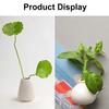6 szt./zestaw Doniczka Magnetyczna Artykuły Gospodarstwa Domowego Mini Wazon Naklejka na Lodówkę Biała Porcelana Magnetyczny Wazon 3D Bez Roślin