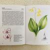 [USED] Foreign books, old books, Czech botanical encyclopedias, bulbous plants, tuberous plants, tulip cover