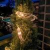 Solar Bird String Lights, Outdoor Waterproof Garden Light, Warm Glow LED Light for Patio Balcony Lawn Decor