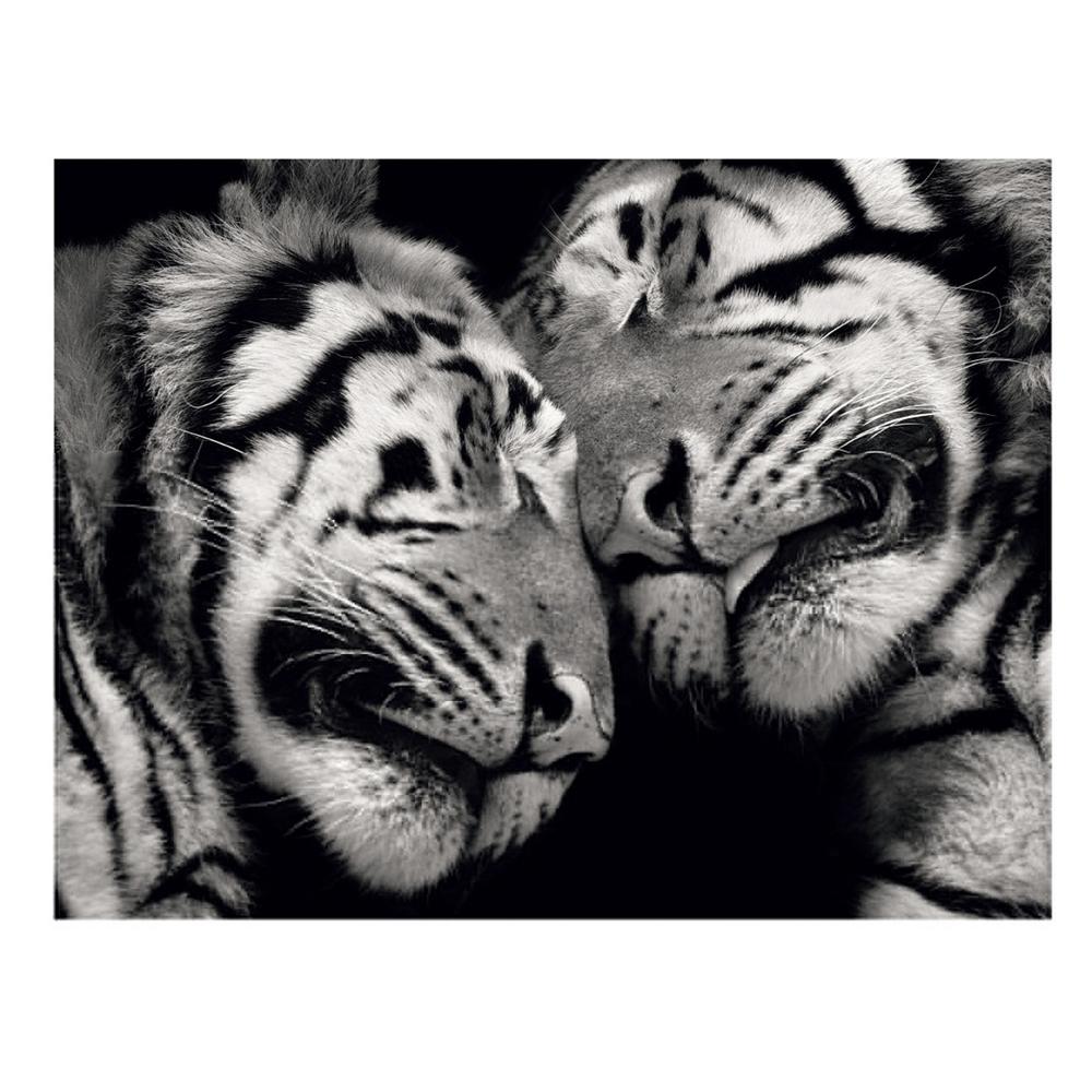 Duma Ancell Sleeping Tigers Print