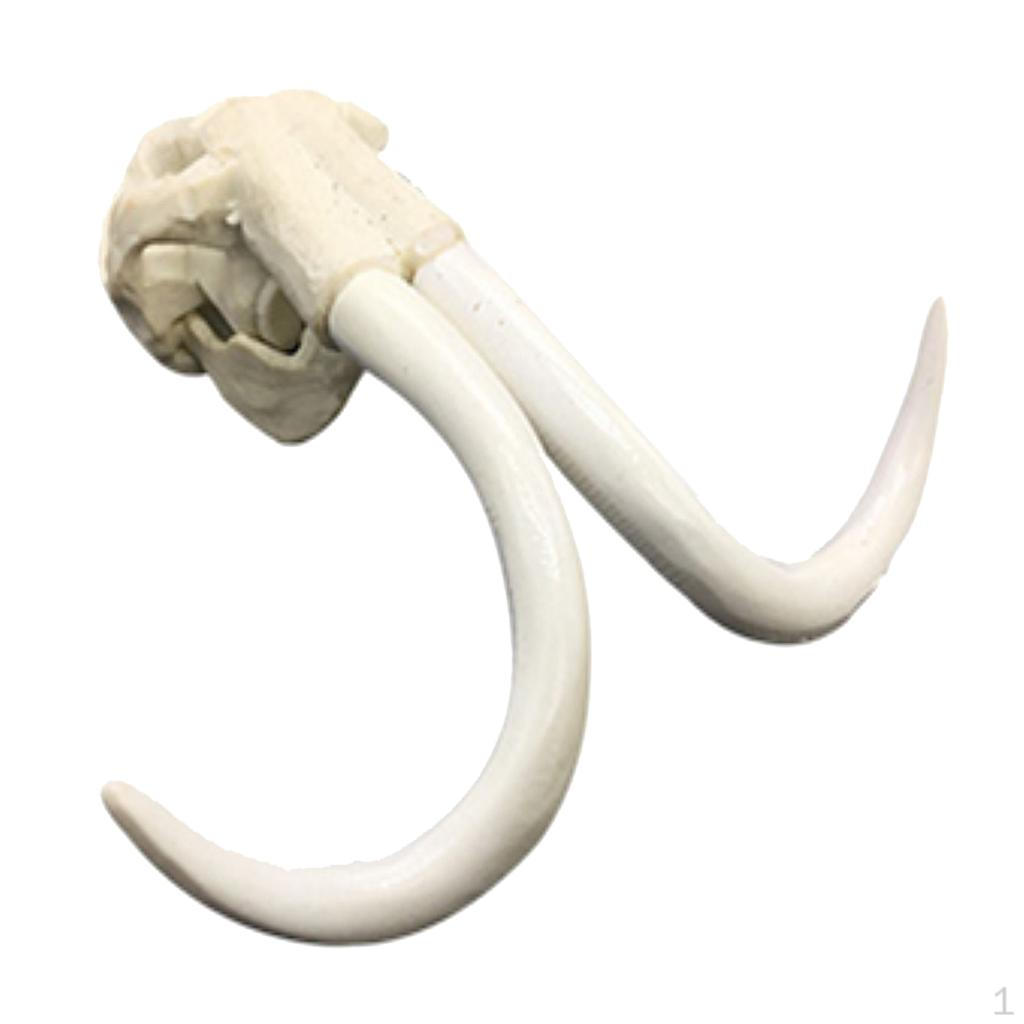 

Resin Ornament Artificial Decorations For Fish Tanks Aquarium Elephant Head Bone