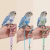 Anti-Biss Vogel Flugsack Verstellbares Papageien Fluggeschirr Papageien Fluggeschirr Kleine Papageien