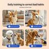 Cue Head Pet Training Tool with Flexible Rod Body, Long Handle Control for Indoor Practice and Walk Time Use Guide