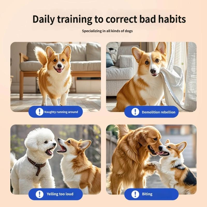 Cue Head Pet Training Tool with Flexible Rod Body, Long Handle Control for Indoor Practice and Walk Time Use Guide