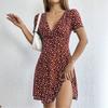 New temperament fashionable slim floral dress, European and American V-neck gentle commuting holiday thin dress