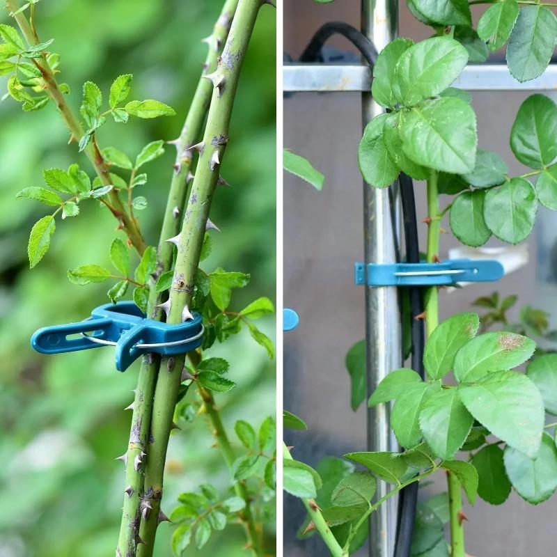 50PCS Reusable Plant Support Clips Garden Greenhouse Plastic Clips Tomato Cucumber Vine Vegetable Stem Gardening Tools