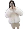 Coat European and American Fashion Women's Imitation Fur Women's Imitation Fox Hair Fur Coat New Slim Short Splicing Jacket Fur One Furry Coat Female
