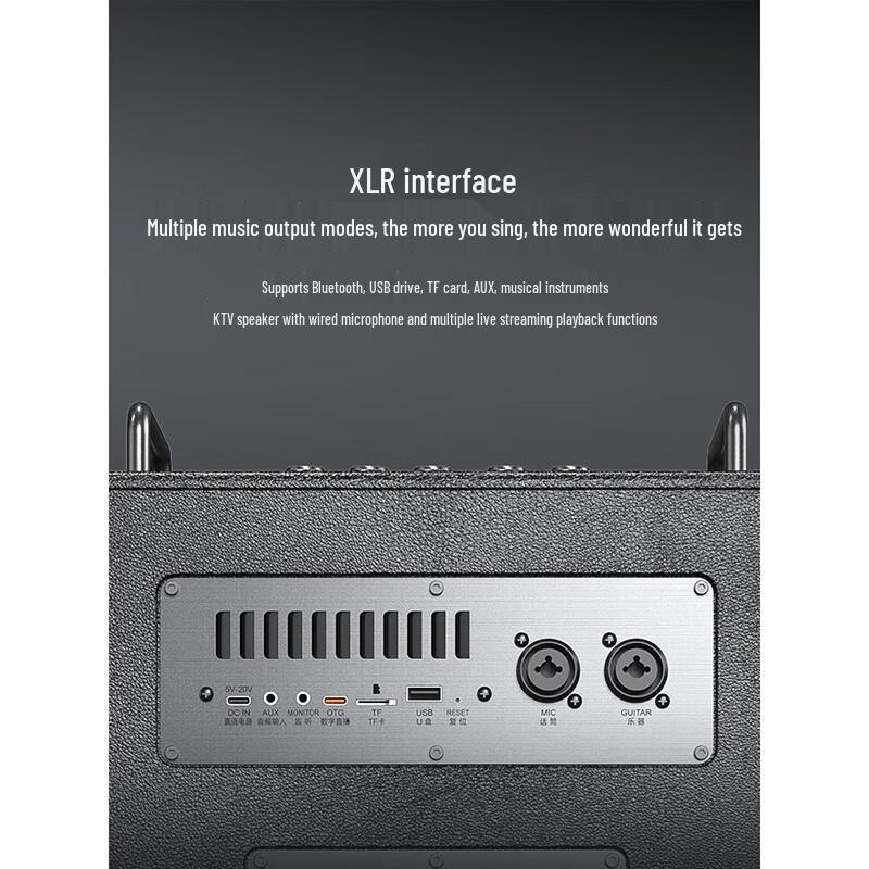 W-King T6Pro Portable Karaoke Bluetooth Speaker