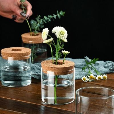 Transparent Hydroponic Plants Flower Pot Thickened Glass Transparent Glass Pots Round Mini Ecological Glass Vase Gardening
