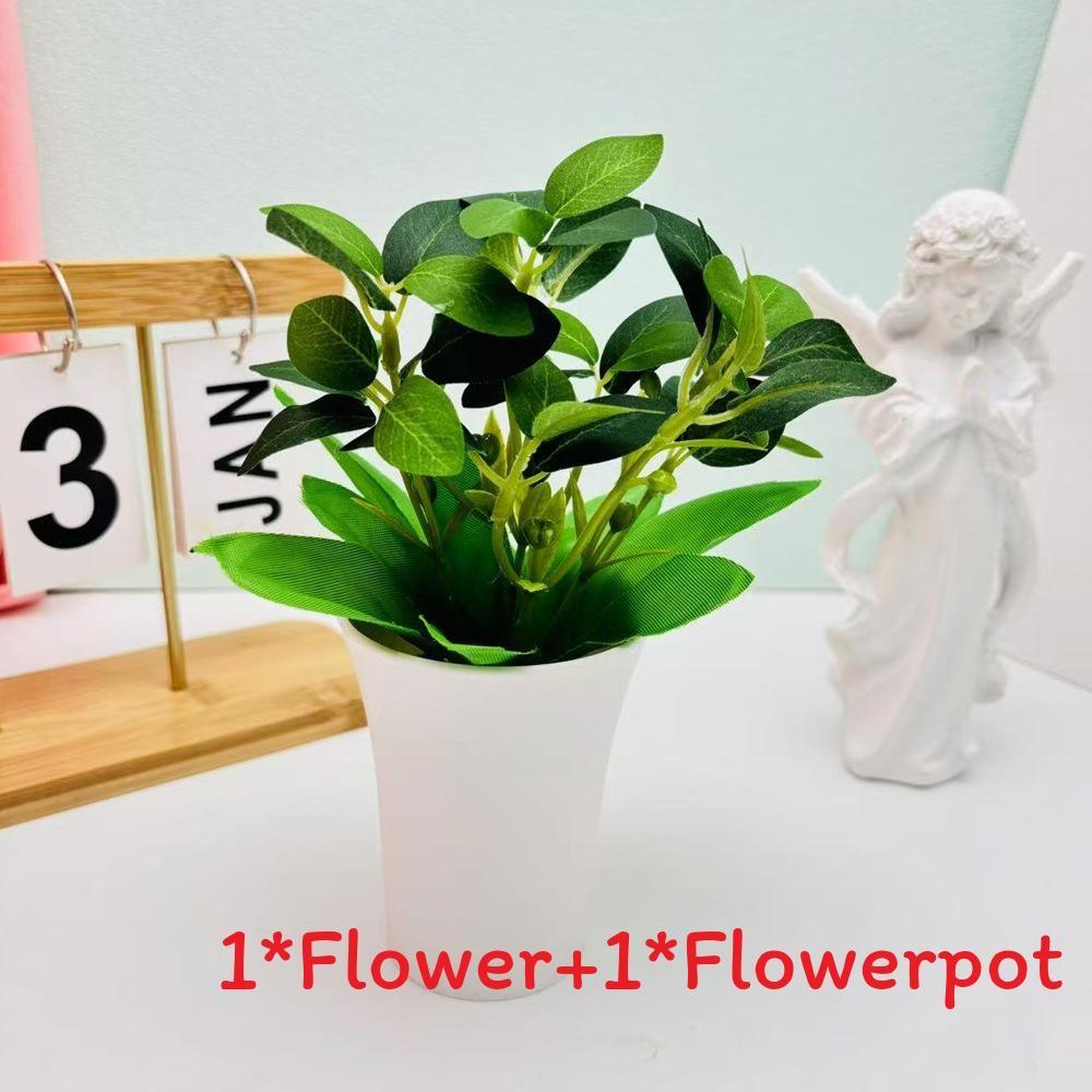 Pudica Schefflera Mimosa Octophylla Green Plant For Home Decor Tabletop