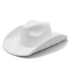 Traditional Ethnic Style Wool Felt Hat With Wide Brim For Stage Performances And Festivals