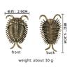 Cambrian Trilobite Brass Desk Decoration Ancient Insect Metal Figurine Tea Pets Paleontological Trilobites Souvenir Gift
