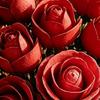 2026 Rose Building Blocks Set DIY Roses Brick Valentine's Day Gift Simulation Bouquet Puzzle Assembly Adult Toys Home Decoration