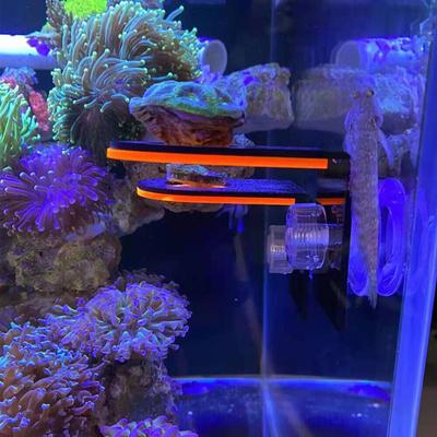 Akvarijní fluorescenční korálový fragment držák na pěstování korálů akrylový stojan na korály mořský útesový stojan akvarijní příslušenství