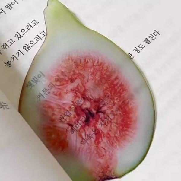 1 Bucată Semn de Carte Drăguț cu Design Creativ Acrilic Transparent Seria Fructe Etichetă de Carte Simplitate INS Semn de Carte Papetărie Student Cadou