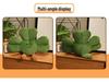 Three-Leaf Clover Plush Doll - Cute Green Cartoon Luck Blessing Desk Companion