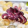 7cm Long New BunnyPlastic Hair Claws for Women  Hair Curved Hair Jaw Clips Crab Clamp Grasp Accessories Girls Hairwear