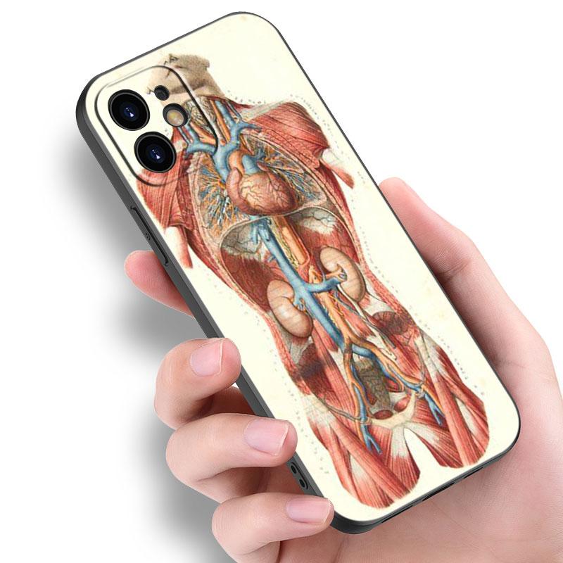 

Медицинский чехол с человеческими органами, меридианом мозга и почек для Apple iPhone 14 13 12 Mini 11 Pro Max 7 8 XR X XS 7 8 Plus SE 2020 2022 iPhone 12 Pro