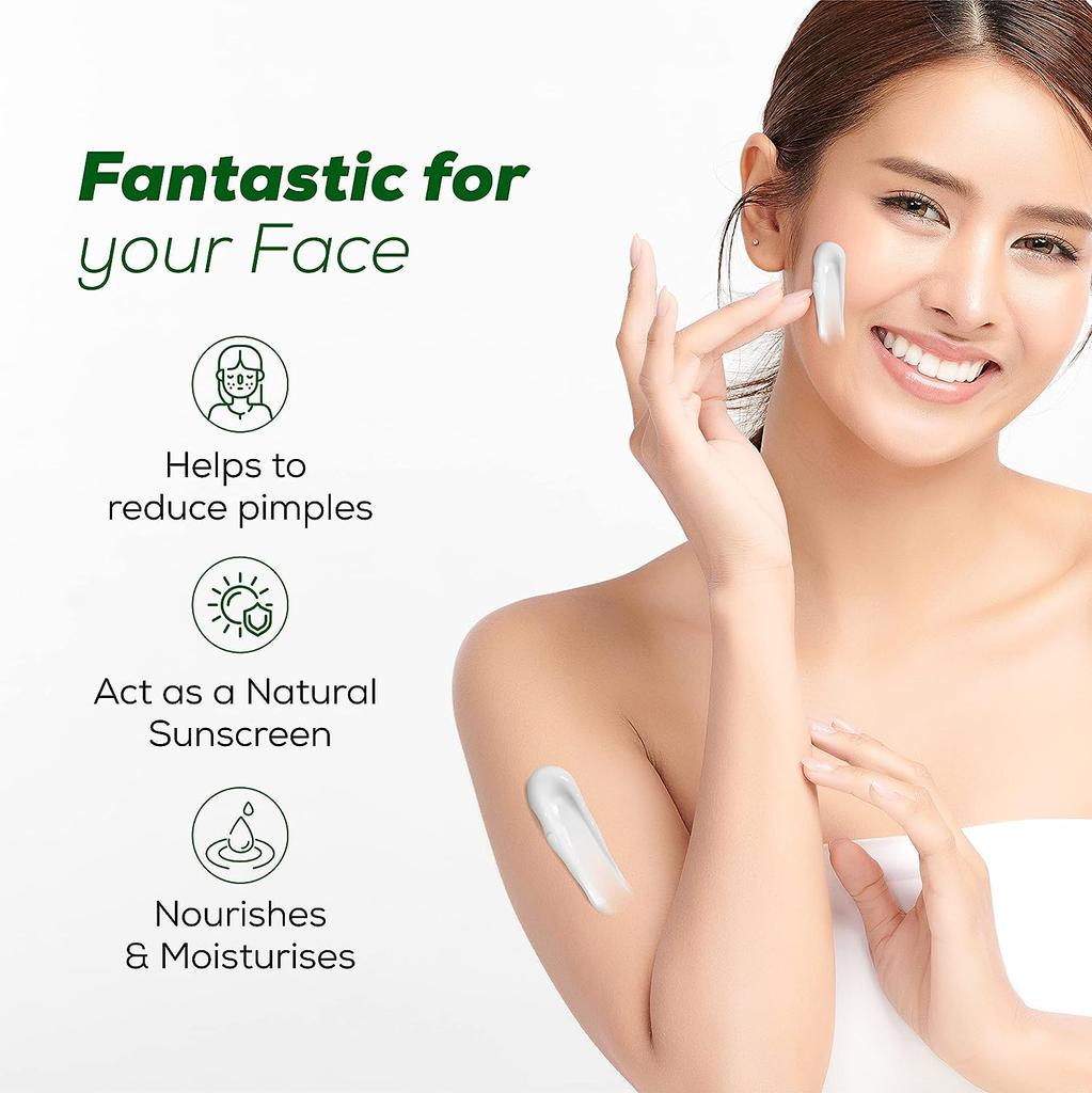 aloe vera terra Aloevera Healing Plant Gel