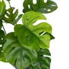 Artificial Plant Turtle Back Leaves Green Dill Leaf Small Fake Plant Living Room Office Desk Balcony Decoration Home Garden Deco
