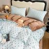 Winter Milk Fleece Bedding Set Coral Thick Sheet Duvet Cover Student Dorm