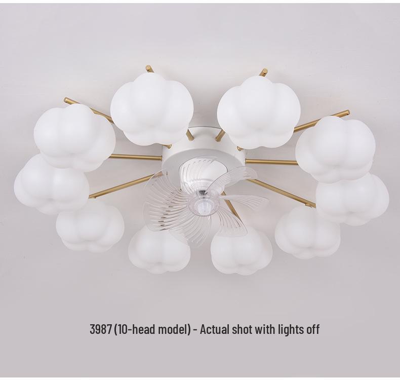 2025 Modern Minimalist Head-Shaking Fan Light for Living Room