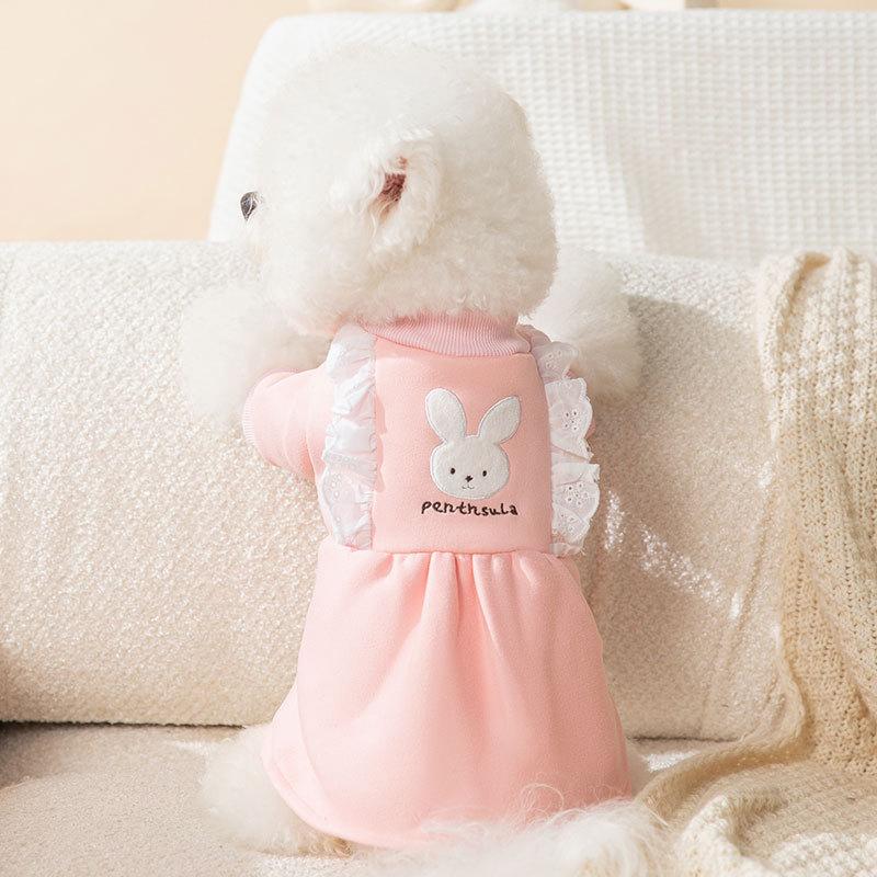 Warme Haustierkleidung, süßer Druckmantel, Hemdjacke für kleine und mittelgroße Hunde, Katzen, Teddy, französische Bulldogge, Chihuahua, Winter-Outfit