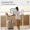 Loctek E6 Solid Wood Electric Standing Desk
