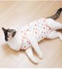 Breathable Anti-Licking Surgery Clothes for Female Cats - Thin, Post-Op, Weaning Wear