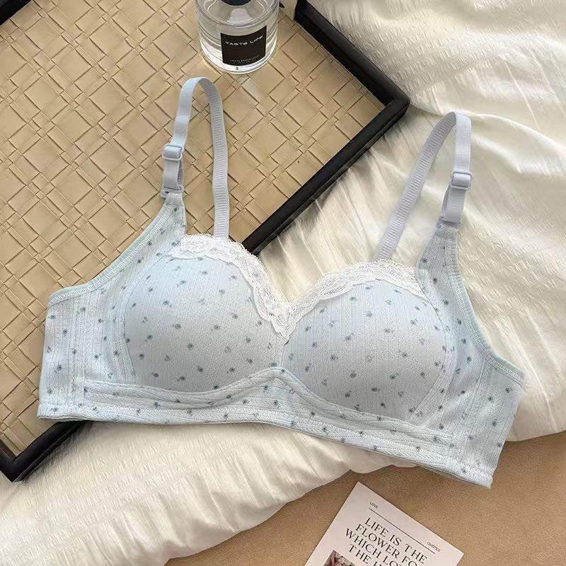 Japanese Style Cute Bra Set Small Bust Push Up Round Shape Non-wired Adjustable Fixed Cup