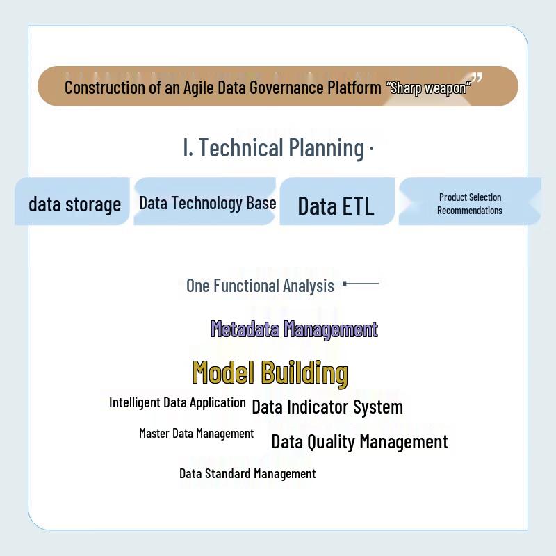 Data Governance Practitioner's Handbook